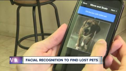 Facial recognition to find lost pets