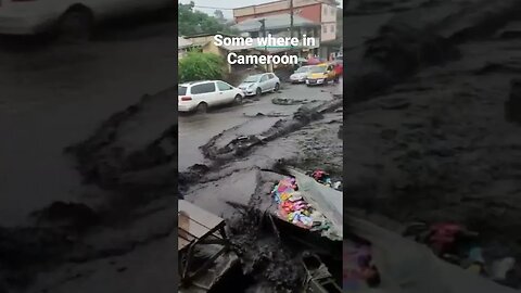 A town close to the Cameroon mountain #news #animal