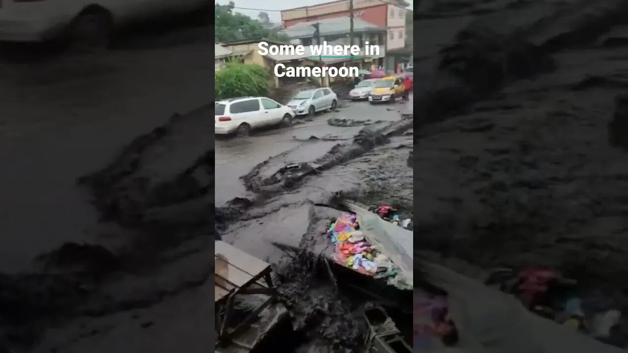 A town close to the Cameroon mountain #news #animal