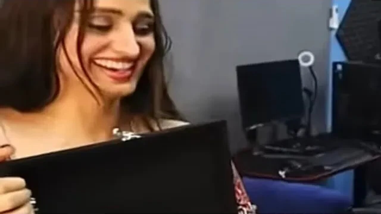 The Story Of Dax and The GOTTILINE #amstaff #breeding