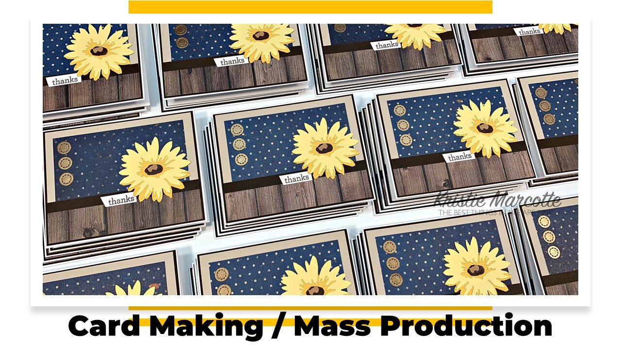 Mass Production | 50 Thank You cards