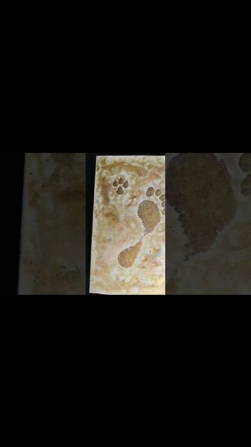 Mobile Art Gallery. Walking in the Sand. Latest painting