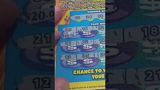 Big Winning Wild Lottery Ticket #shorts #lottery