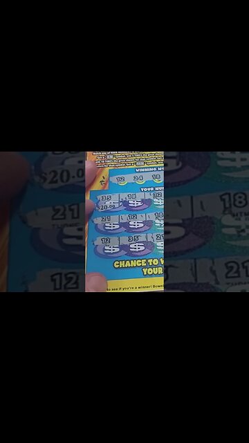 Big Winning Wild Lottery Ticket #shorts #lottery