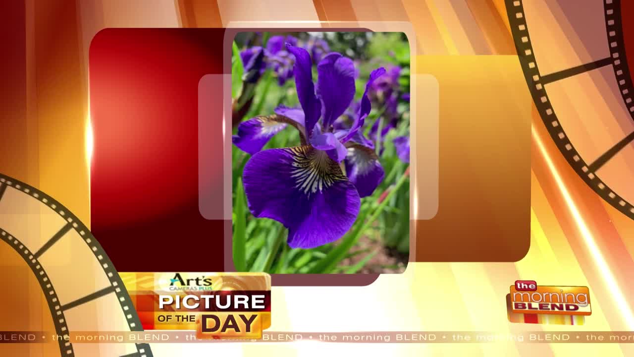 Art's Cameras Plus Picture of the Day for June 21!