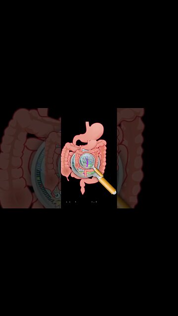 The Benefits of Smoothies for Your Health and Well being. #shorts