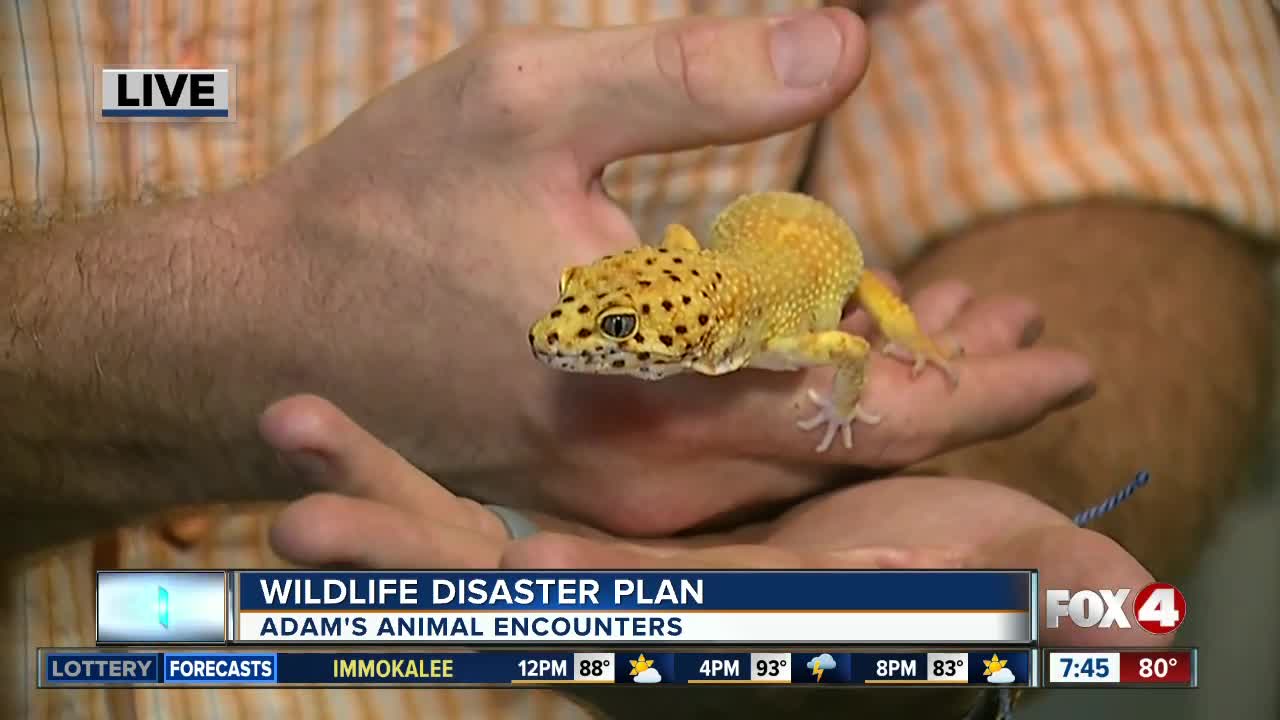 Adam's Animal Encounters 07:45a Hit