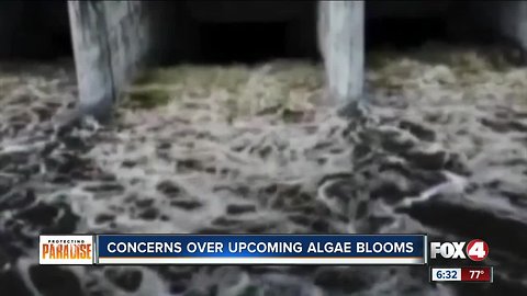 Lake O water releases, what the Army Corps of Engineers is doing to stop blooms