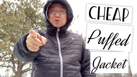 Inexpensive US Polo Assn Hooded Puffer Jacket Review