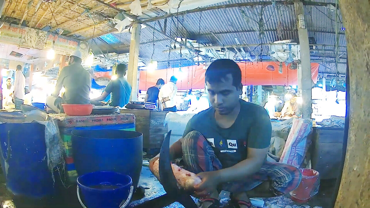 Rohu Fish Cutting Skills In Fish Cutting Skills Market-Rohu Fish Cutting Video-Fish Wall BD