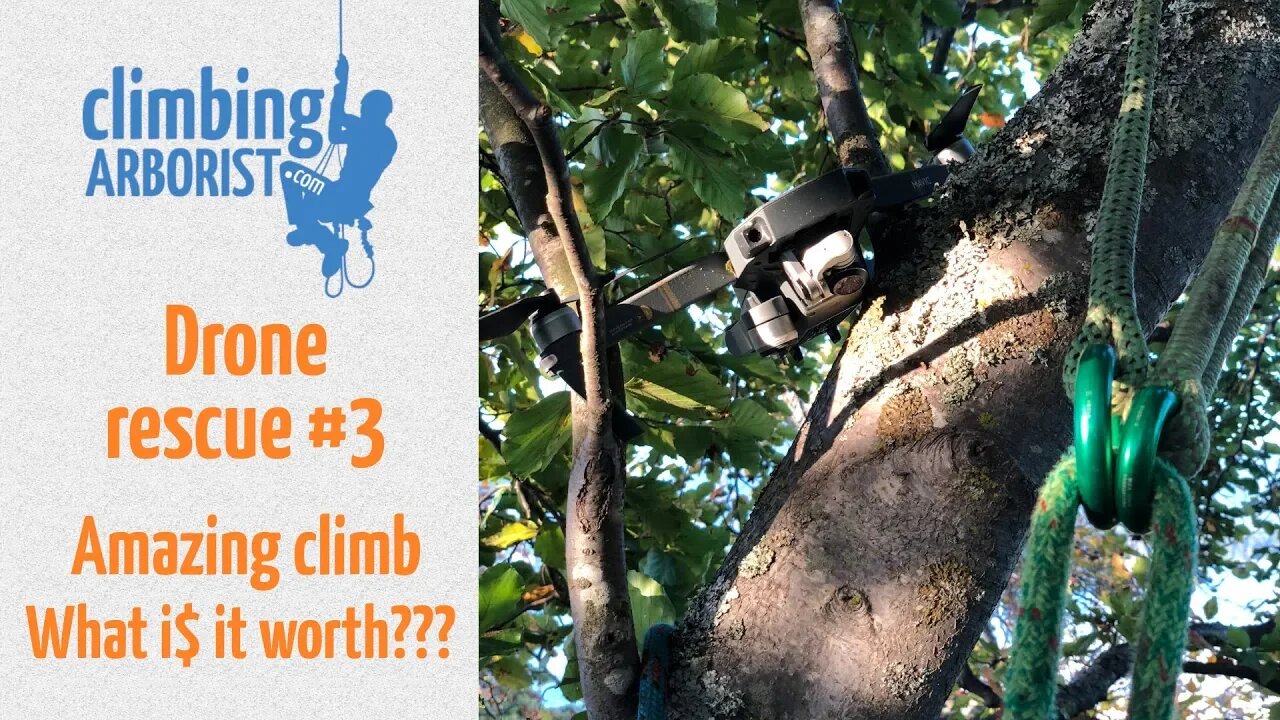 Drone rescue #3 - An awesome tree & some easy $$$