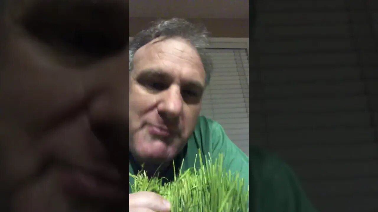 Wheatgrass gum #energy #inventionideas