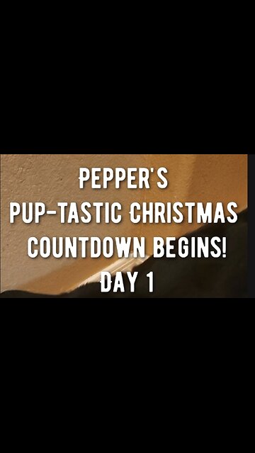 Pepper's pup-tastic Christmas countdown begins!