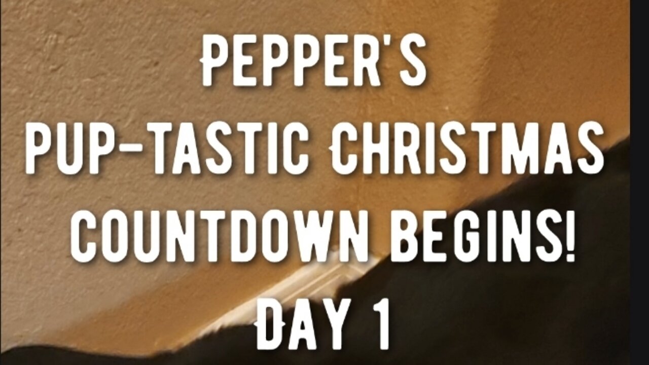 Pepper's pup-tastic Christmas countdown begins!