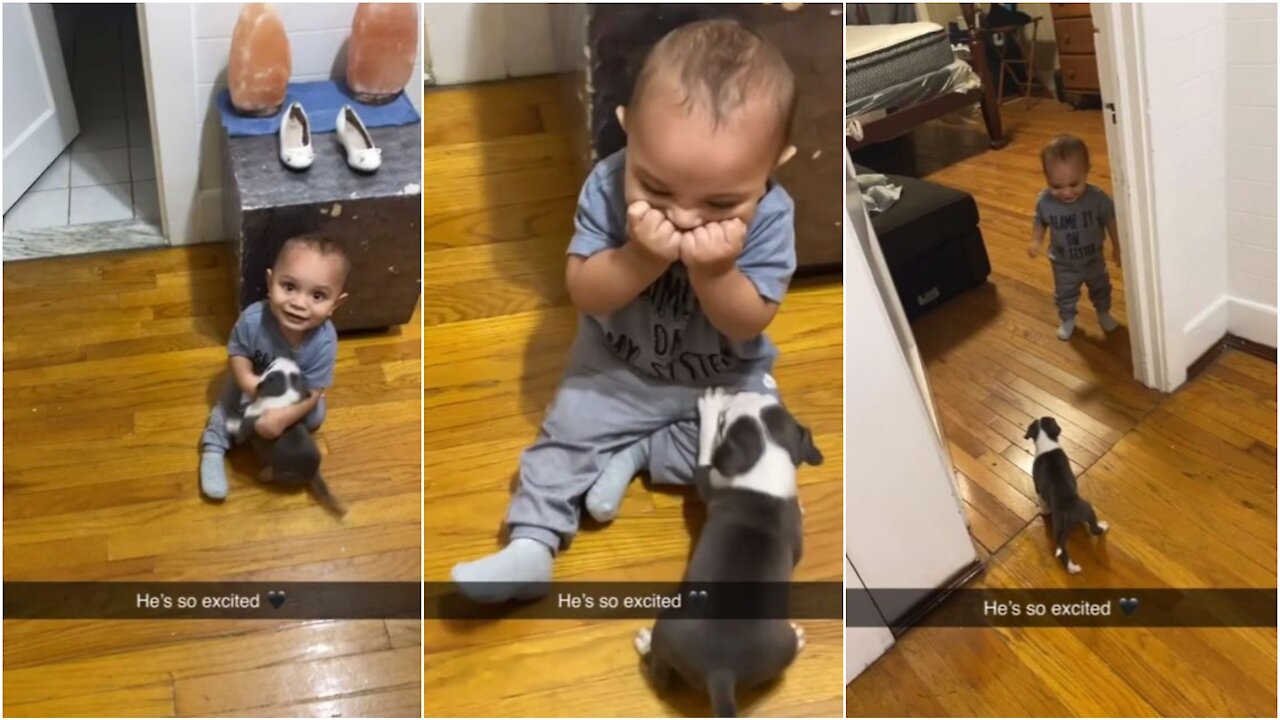 Baby has adorable reactions to new puppy addition