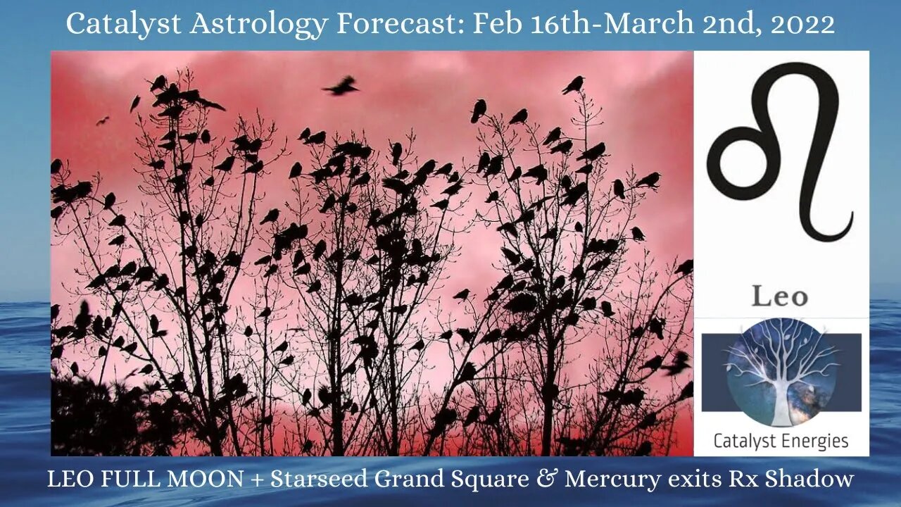 LEO - Catalyst Astrology Forecast - LEO FULL MOON + STARSEED GRAND SQUARE - Feb 16-March 2nd, 2022