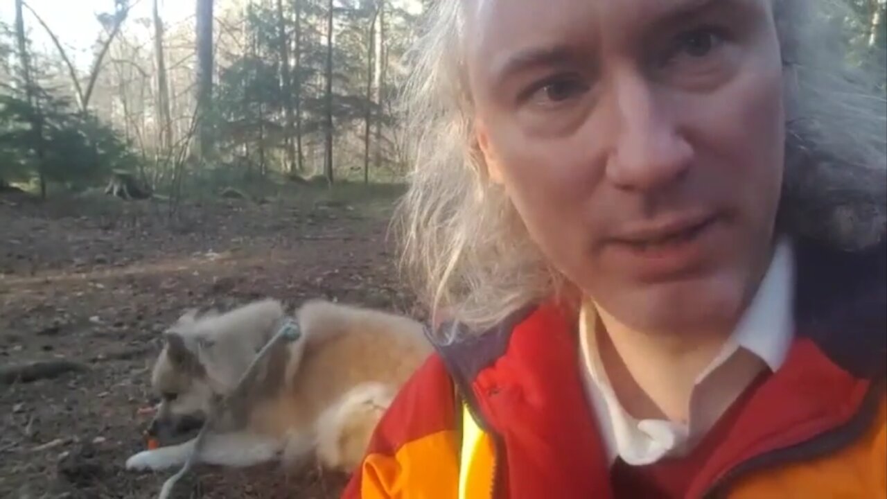 Filmer skadar din verklighetsuppfattning. Grafer ofta felaktiga. Växjö-manifestation. Mer Miss Piggy