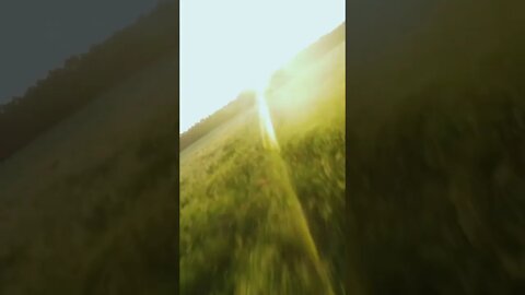 Follow the sun… 🥹🌄 GoPro Hero 11 | Cinematic FPV #shorts #fpv #gopro #nature #goldenhour #travel