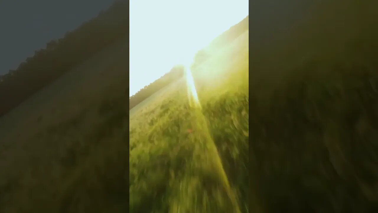 Follow the sun… 🥹🌄 GoPro Hero 11 | Cinematic FPV #shorts #fpv #gopro #nature #goldenhour #travel