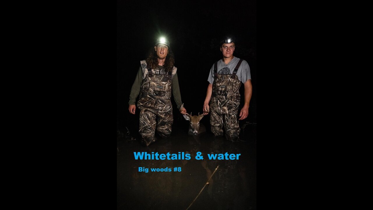 Whitetail & Water