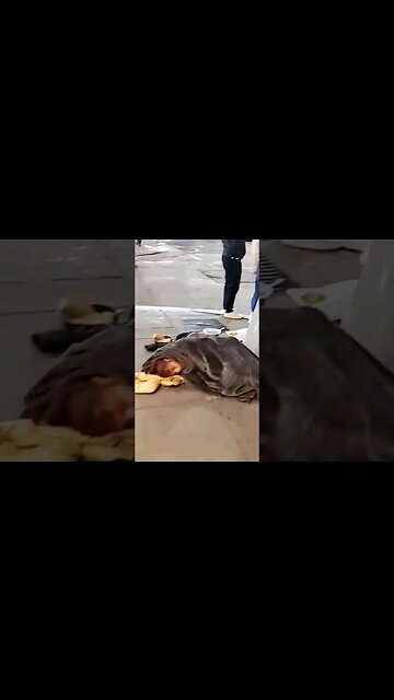 Sleep in the middle of the walk in Center city Philadelphia #shorts #homeless #philadelphia