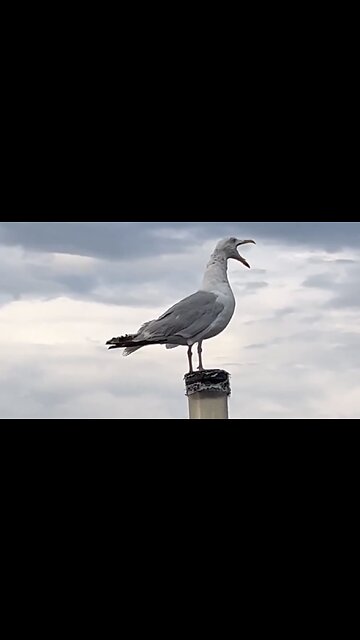 This is so relatable 😂SO FuNNy 😂 Follow me For More 🤣🤣🤣