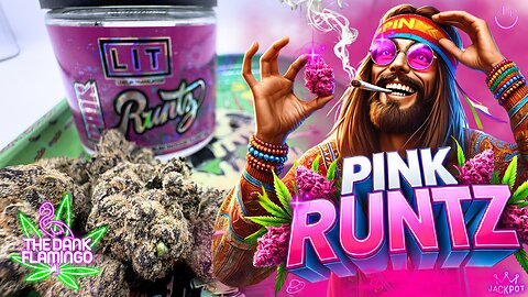 Trying Pink Runtz THCa from Lit Farms! The Dank Flamingo Cannabis Review!!