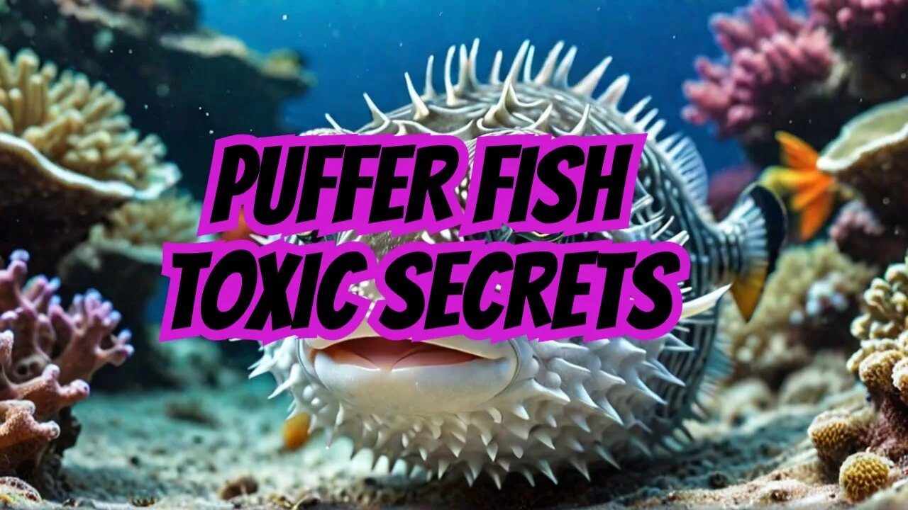 Discovering Puffer Fish's Toxic Venom