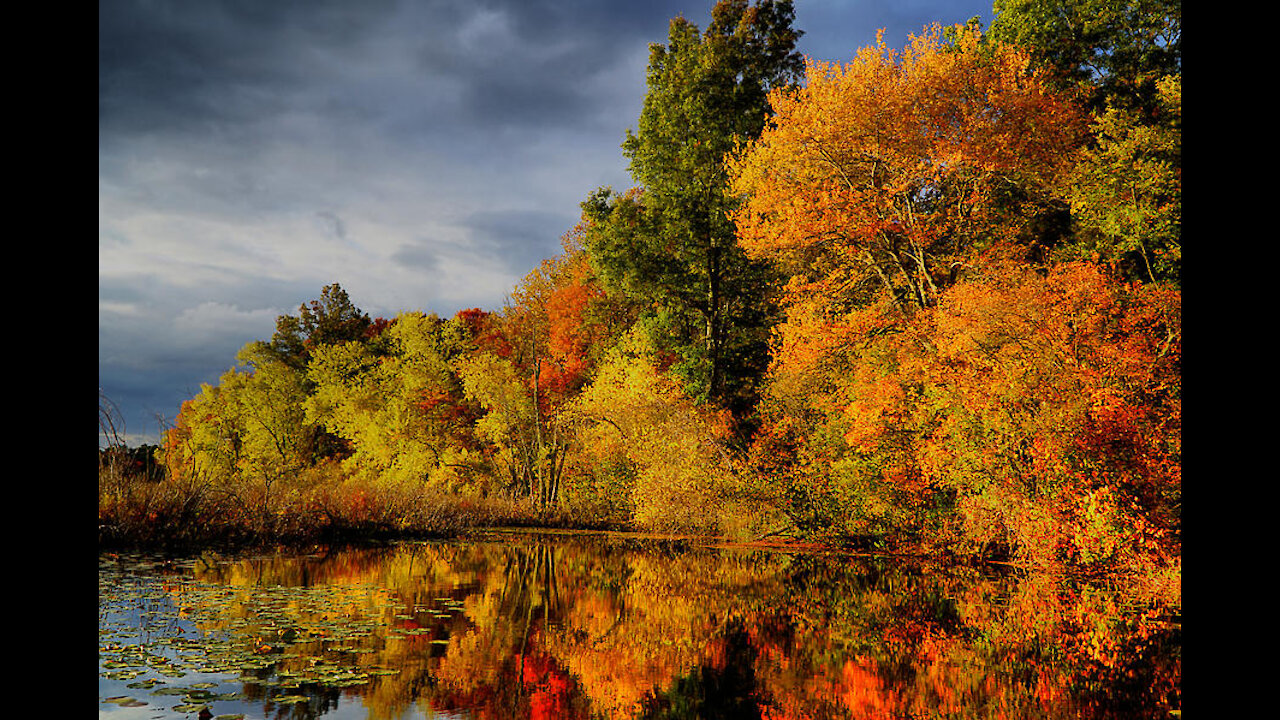 "Oh Hello, October..." ft. Victoria Albright 10/1/21