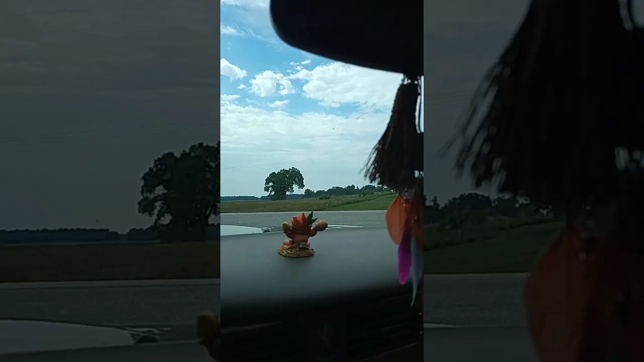 Some days you're livin