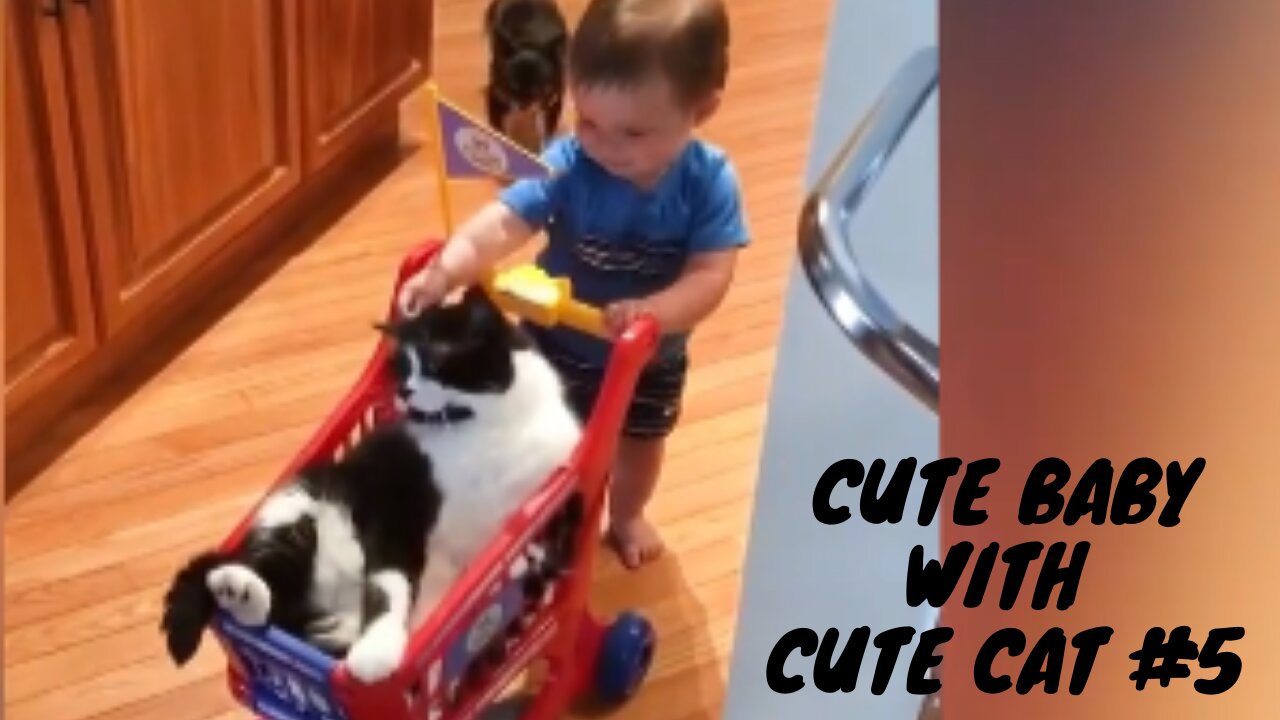 Cute Baby with Cute Cat #5