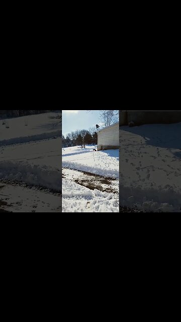 ❄️ Not What We Expected for the Snow Storm