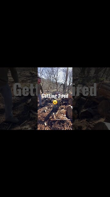 75 Hard Cardio Day 12 #shorts #tips #75hard