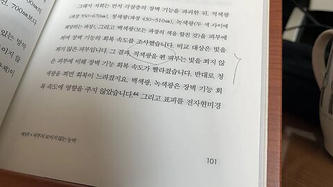 제3의 뇌 놀라운피부 덴다 미츠히로 보고있다 파장 적외선 자외선 망막 단백질 벌 나비