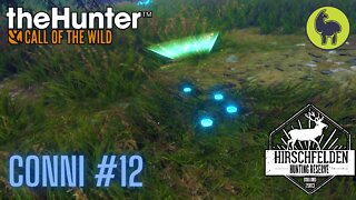 Conni #12 Hirschfelden | theHunter: Call of the Wild (PS5 4K)