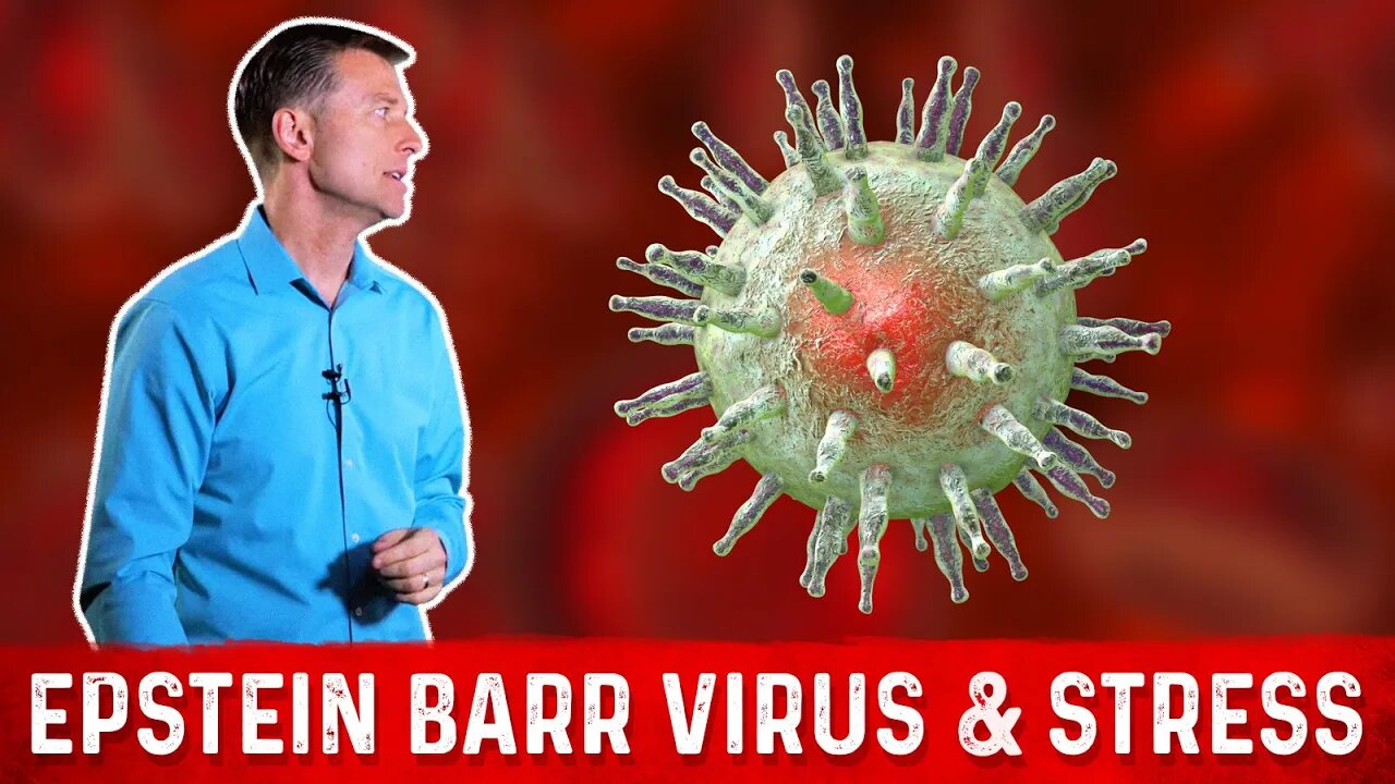 What is Epstein Barr Virus (EBV)? - Symptoms & Treatment – Dr. Berg