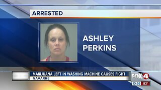 Marijuana left in washing machine causes fight in Florida