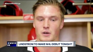 Gustav Lindstrom set to make NHL debut with Red Wings