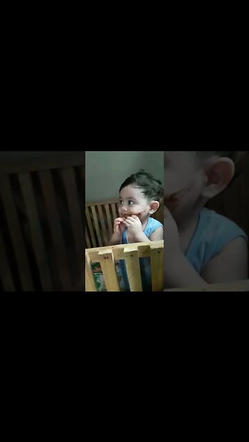 Cute Chesco's eat is favourite choco 🍪 cookies #choco #cookies #cute