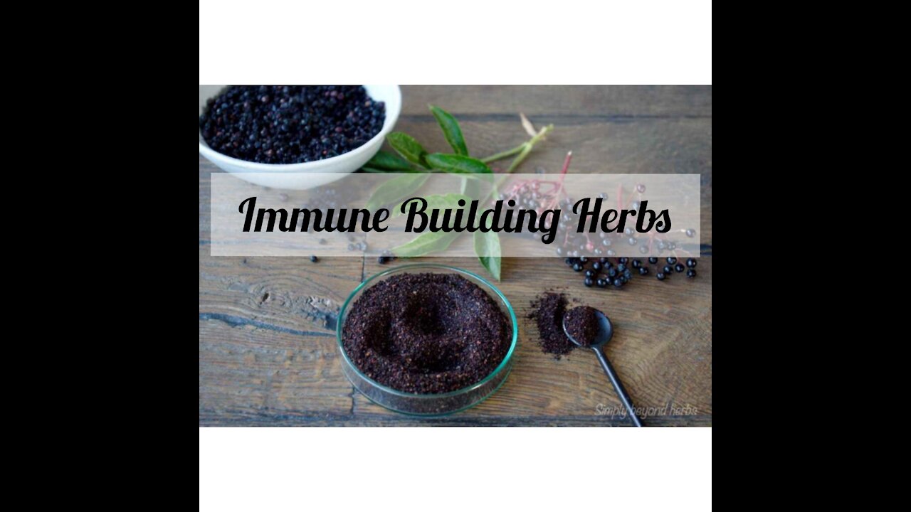 Immune Builder Herbs