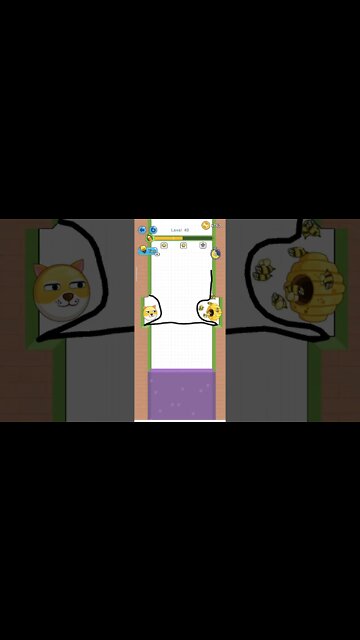 save the doge level 40