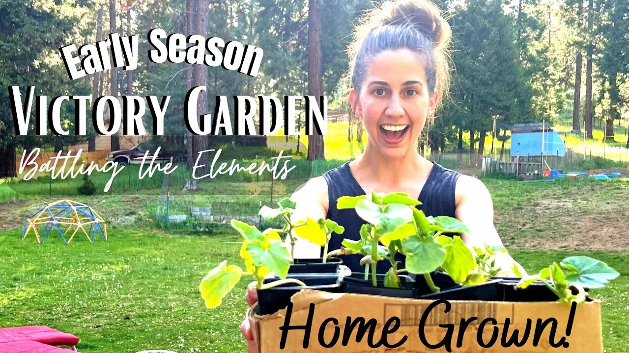 Zone 6B Spring Garden Tour | Container Gardening in Pools and More!