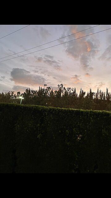 The Bible reading of the day the Old Testament series Leviticus 7:22-27