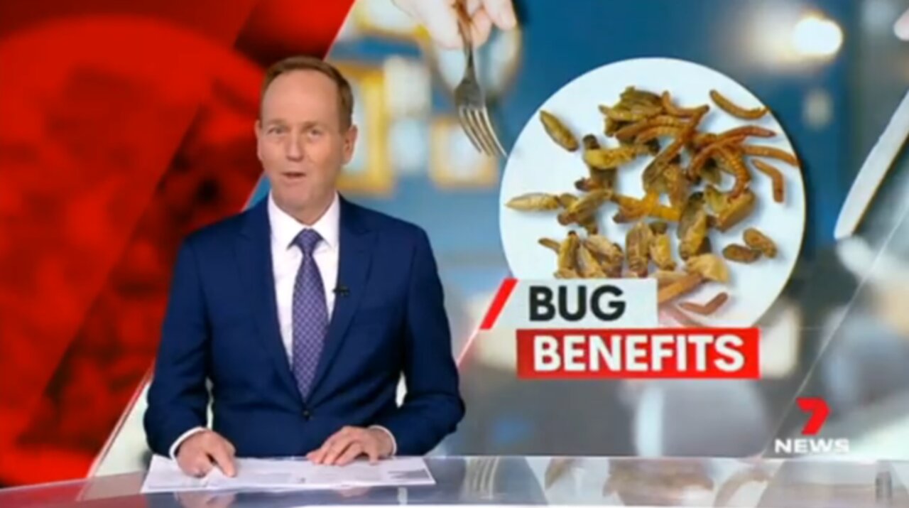 You´ll eat bugs... and you´ll be happy