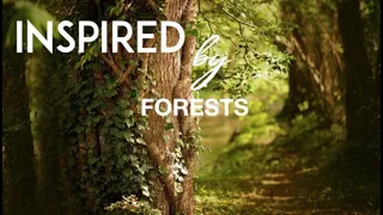 ☆ INSPIRED BY Forests | Relaxing Music while wandering through beautiful forests