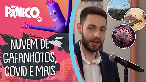 Nuvem de gafanhotos, Covid-19 e mais: As novidades do dia