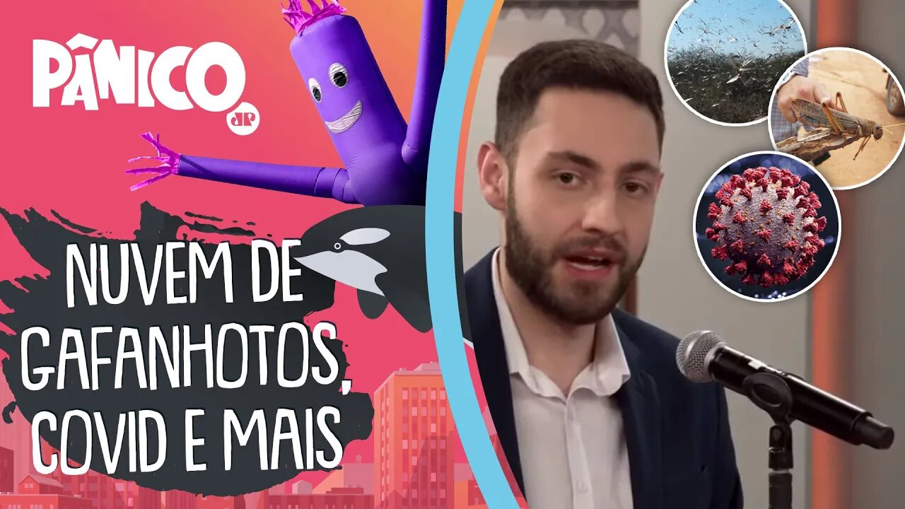 Nuvem de gafanhotos, Covid-19 e mais: As novidades do dia