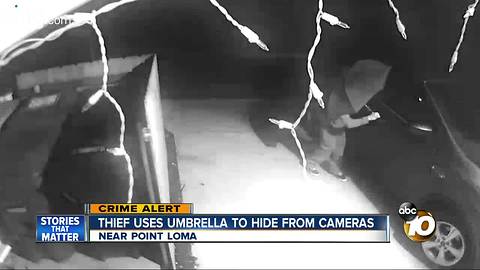 Thief uses umbrella to hide from cameras