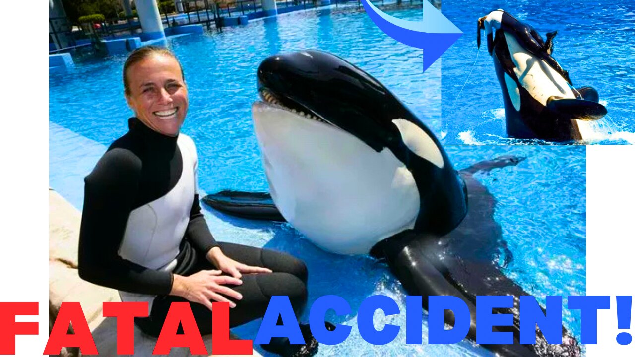 The TERRIFYING Final Moments of Orca Trainer Dawn Brancheau