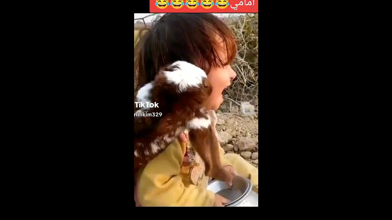 Funny video compilation 2023